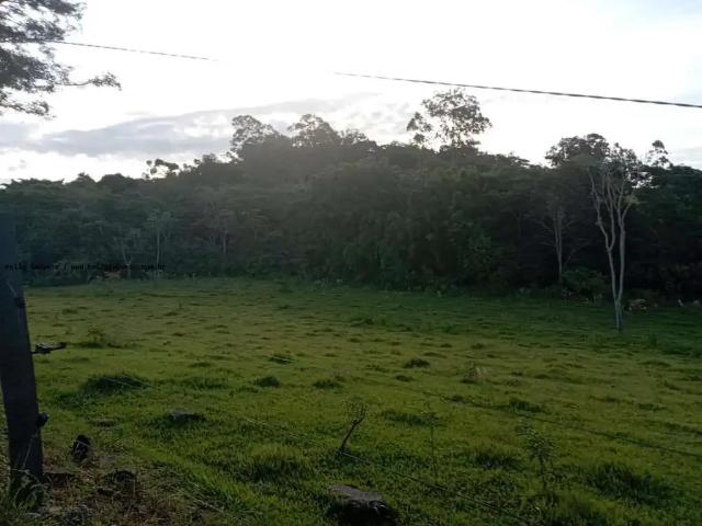 Sítio e chácara venda em Região Imediata de Presidente Prudente, Regente Feijo