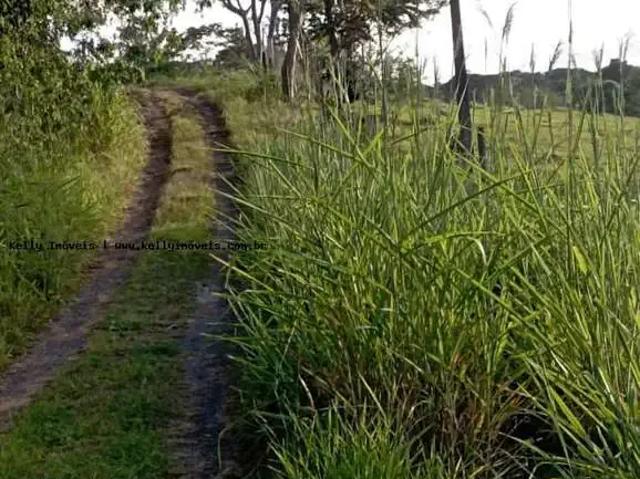 Sítio e chácara venda em Região Imediata de Presidente Prudente, Regente Feijo