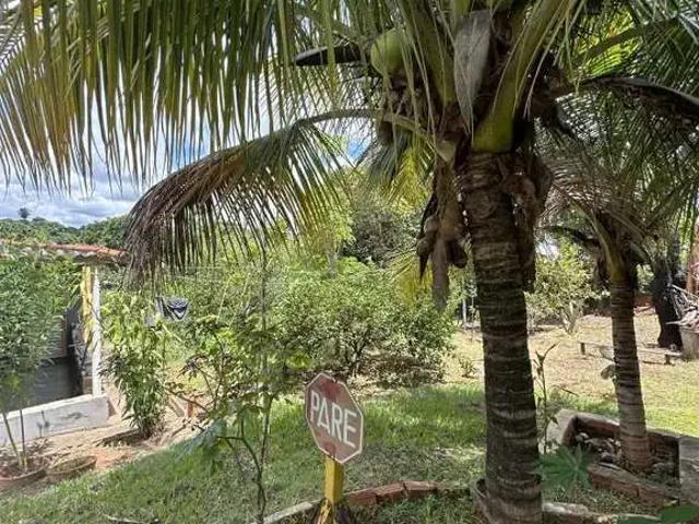 Sítio e chácara venda em Região Imediata de Presidente Prudente, Regente Feijo