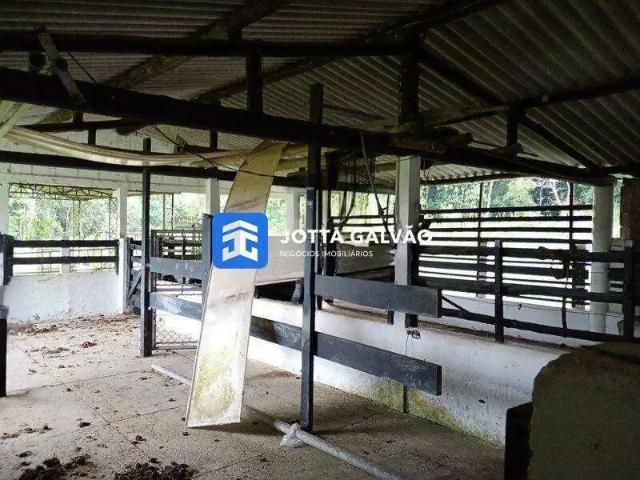 Sítio e chácara venda em Região Imediata de Registro, Registro