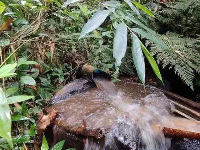 Sítio e chácara venda em Região Geográfica Imediata de Resende, Resende