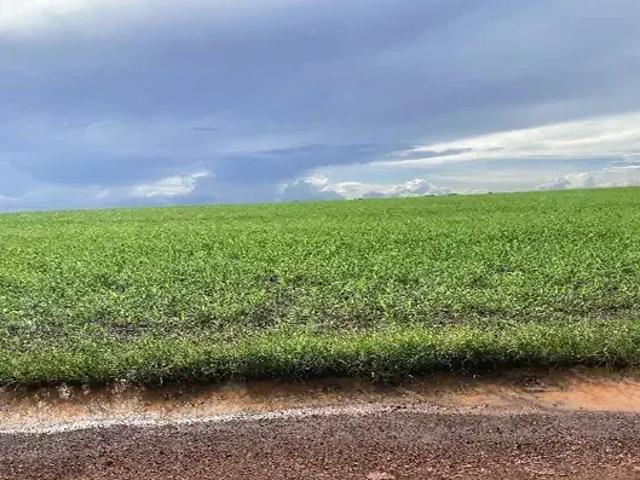 Sítio e chácara venda em Riachão, Região Nordeste