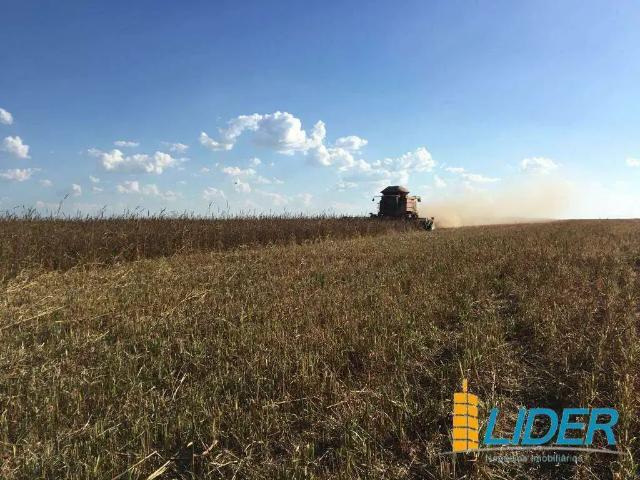 Sítio e chácara venda em Riachão, Região Nordeste