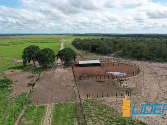 Sítio e chácara venda em Riachão, Região Nordeste