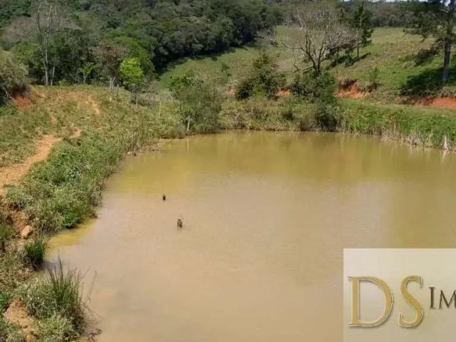 Sítio e chácara venda em Ribeirão Branco