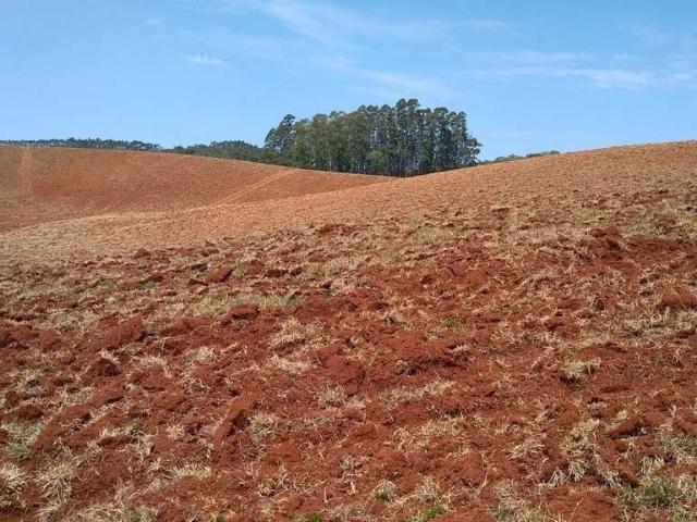 Sitio venda em Ribeirão Branco, CDHU Narciso Souza Teixeira