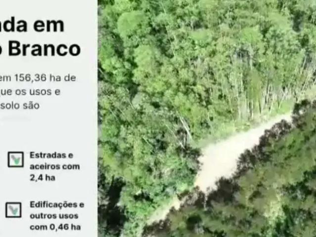 Sítio e chácara venda em Região Imediata de Itapeva, Ribeirão Branco