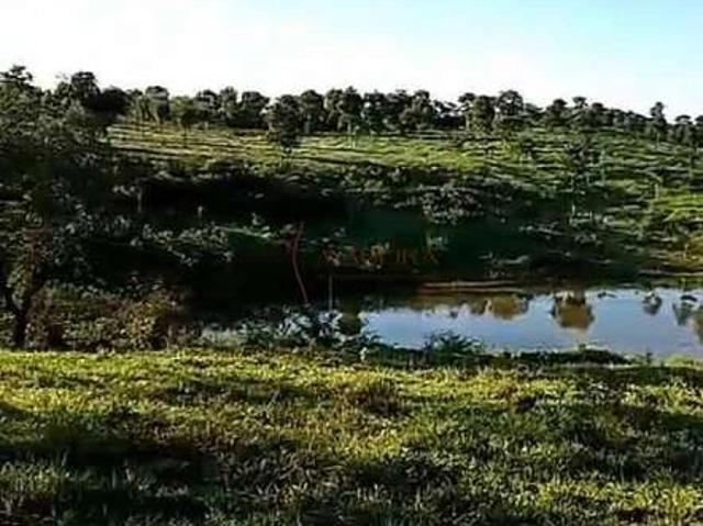 Sítio e chácara venda em Ribeirão Cascalheira, Região Geográfica Intermediária de Barra do Garças