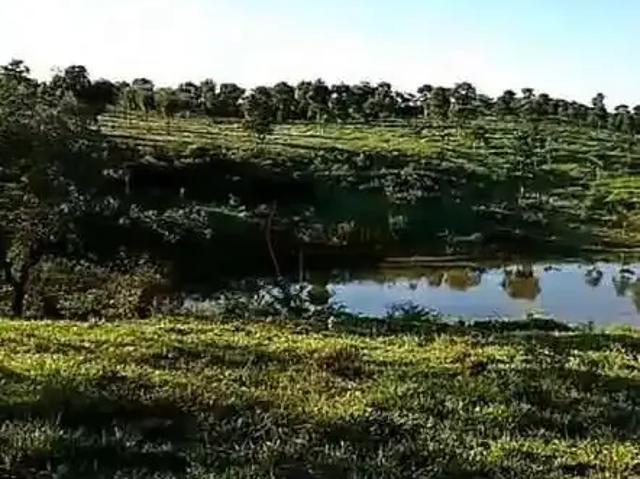 Sítio e chácara venda em Região Geográfica Imediata de Água Boa, Ribeirão Cascalheira