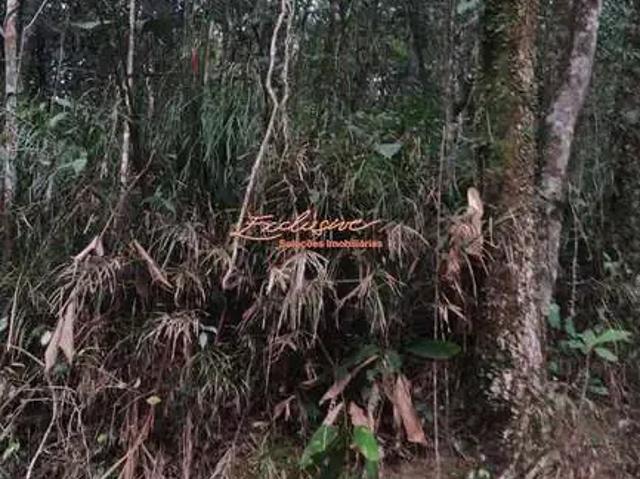 Sítio e chácara venda em Região Imediata de São Paulo, Região Metropolitana de São Paulo