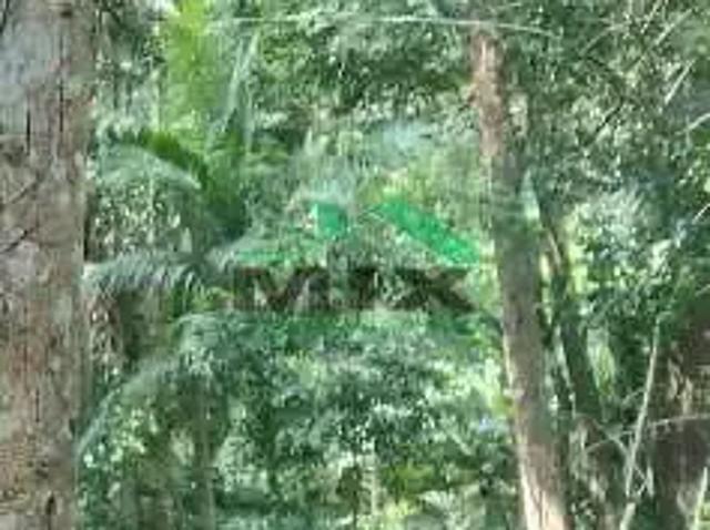 Sítio e chácara venda em Condomínio Jardim Jacqueline, Ribeirão Pires