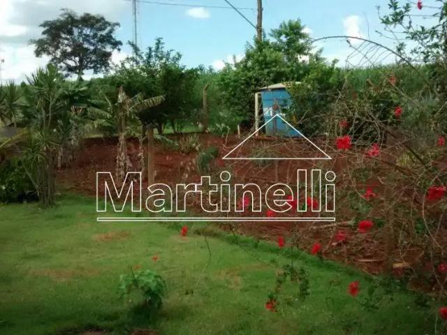 Sítio e chácara venda em Região Imediata de Ribeirão Preto, Região Metropolitana de Ribeirão Preto