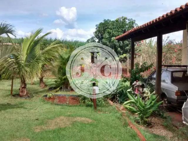 Sítio e chácara venda em Região Imediata de Ribeirão Preto, Região Metropolitana de Ribeirão Preto