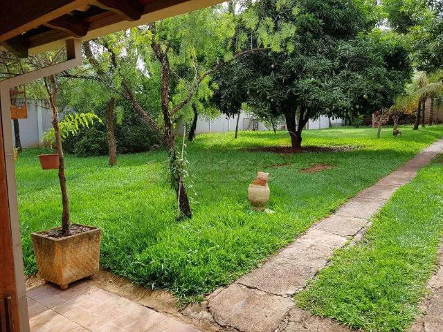 Sítio e chácara venda em Região Imediata de Ribeirão Preto, Região Metropolitana de Ribeirão Preto