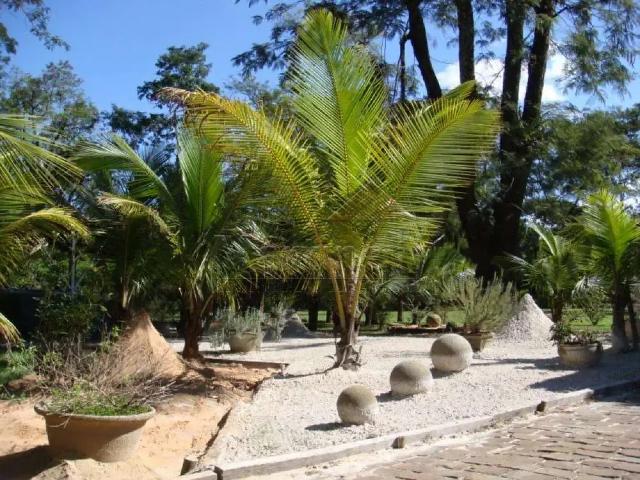 Sítio e chácara venda em Ribeirão Preto, Região Geográfica Intermediária de Ribeirão Preto