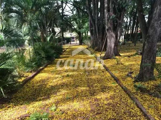 Sítio e chácara venda em Região Imediata de Ribeirão Preto, Região Metropolitana de Ribeirão Preto