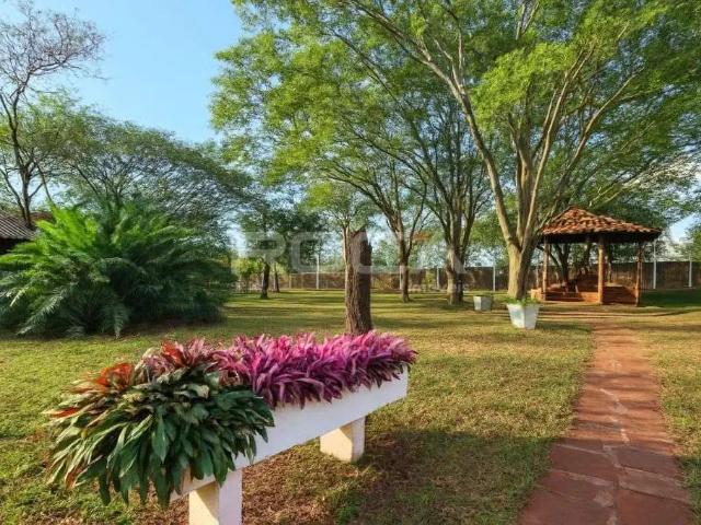 Sítio e chácara venda em Região Imediata de Ribeirão Preto, Região Metropolitana de Ribeirão Preto