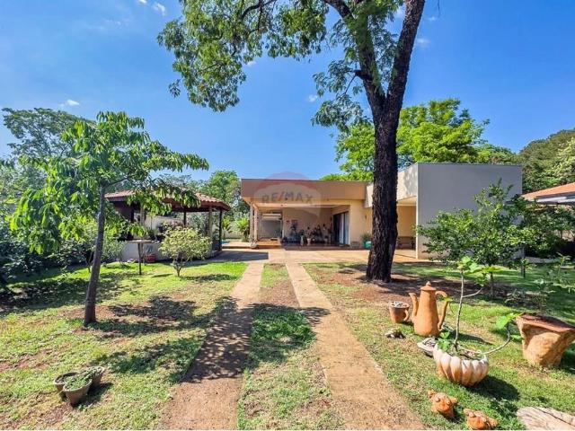 Sítio e chácara venda em Ribeirão Preto