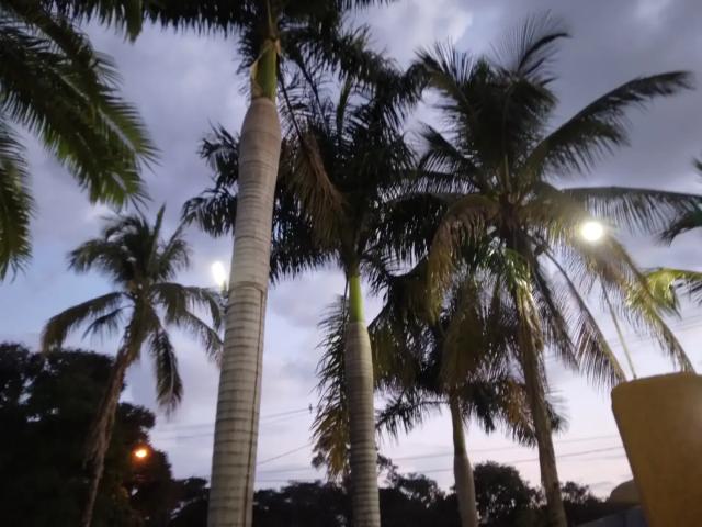 Sítio e chácara venda em Região Imediata de Ribeirão Preto, Região Metropolitana de Ribeirão Preto