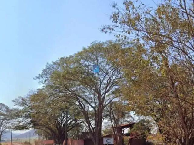 Sítio e chácara venda em Região Imediata de Ribeirão Preto, Região Metropolitana de Ribeirão Preto