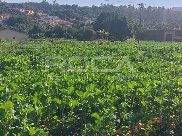 Sítio e chácara venda em Região Imediata de Ribeirão Preto, Região Metropolitana de Ribeirão Preto