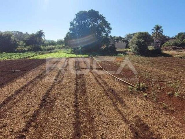 Sítio e chácara venda em Região Imediata de Ribeirão Preto, Região Metropolitana de Ribeirão Preto