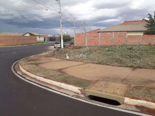 Sítio e chácara venda em Região Imediata de Ribeirão Preto, Região Metropolitana de Ribeirão Preto