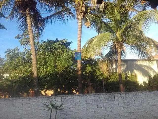Sítio e chácara venda em Região Imediata de Ribeirão Preto, Região Metropolitana de Ribeirão Preto