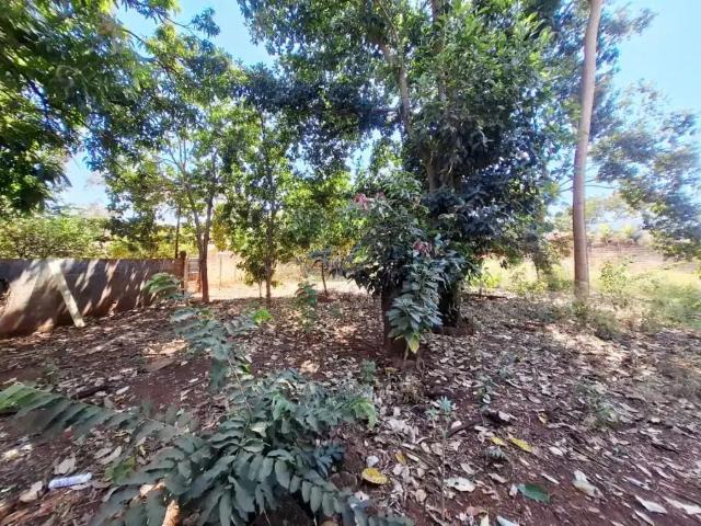 Sítio e chácara venda em Região Imediata de Ribeirão Preto, Região Metropolitana de Ribeirão Preto