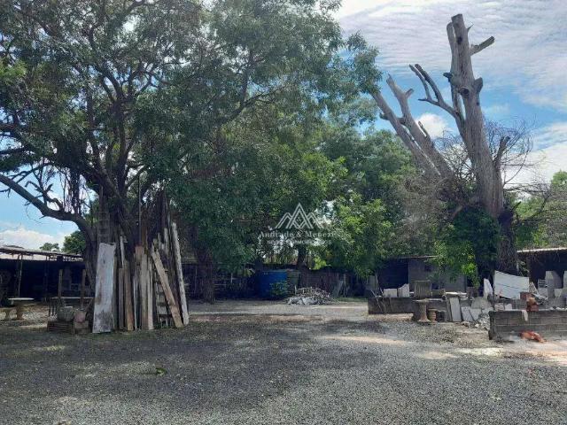 Sítio e chácara venda em Região Imediata de Ribeirão Preto, Região Metropolitana de Ribeirão Preto