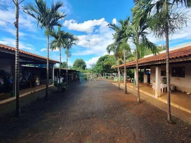 Sítio e chácara venda em Região Imediata de Ribeirão Preto, Região Metropolitana de Ribeirão Preto