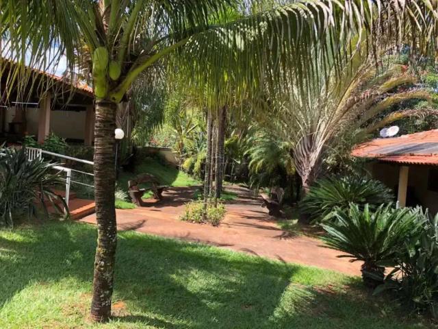 Sítio e chácara venda em Região Imediata de Ribeirão Preto, Região Metropolitana de Ribeirão Preto