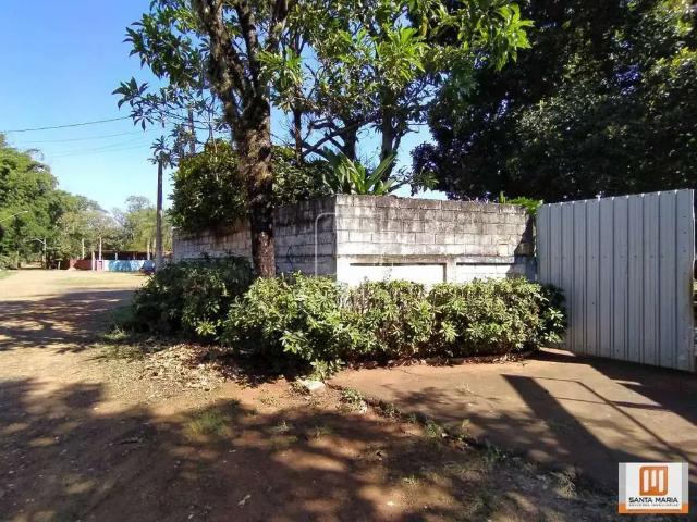 Sítio e chácara venda em Ribeirão Preto