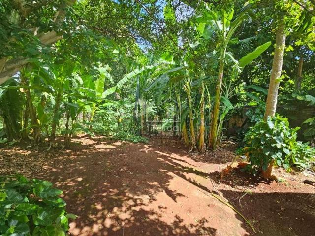 Sítio e chácara venda em Ribeirão Preto