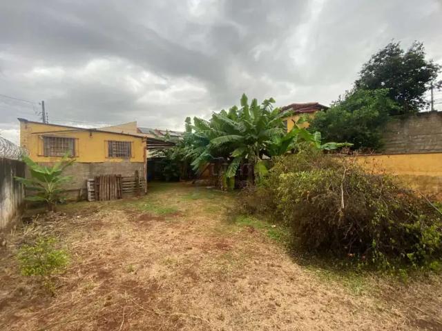 Sítio e chácara venda em Região Imediata de Ribeirão Preto, Região Metropolitana de Ribeirão Preto