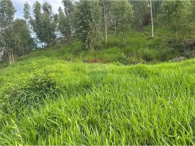 Sítio e chácara venda em Região Geográfica Imediata de Rio Bonito, Região Metropolitana do Rio de Janeiro