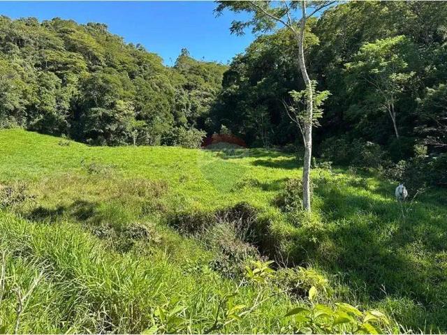 Sítio e chácara venda em Região Geográfica Imediata de Rio Bonito, Região Metropolitana do Rio de Janeiro