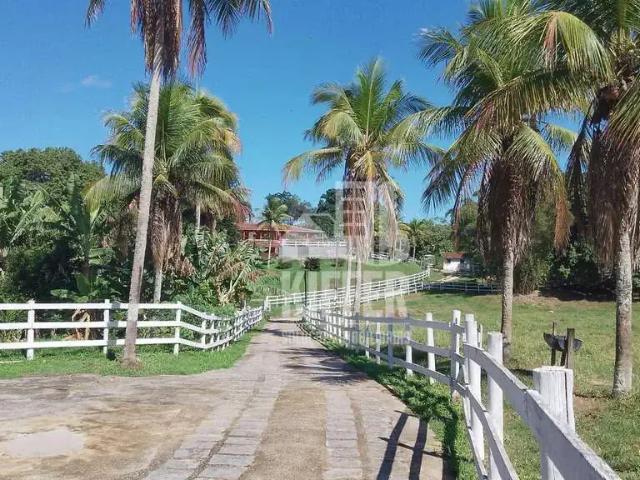 Sítio e chácara venda em Região Geográfica Imediata de Rio Bonito, Região Metropolitana do Rio de Janeiro