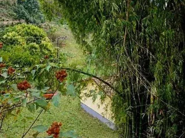Sítio e chácara venda em Região Geográfica Imediata de Rio Bonito, Região Metropolitana do Rio de Janeiro