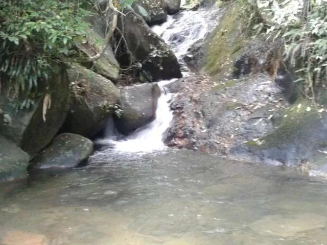 Sítio e chácara venda em Região Geográfica Imediata de Rio Bonito, Região Metropolitana do Rio de Janeiro
