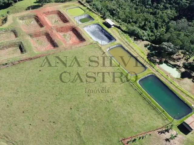 Sítio e chácara venda em Região Imediata de Rio Claro, Região Metropolitana de Piracicaba