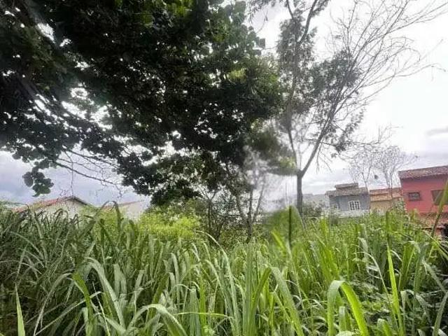 Sítio e chácara venda em Região Geográfica Imediata de Macaé-Rio das Ostras, Rio das Ostras