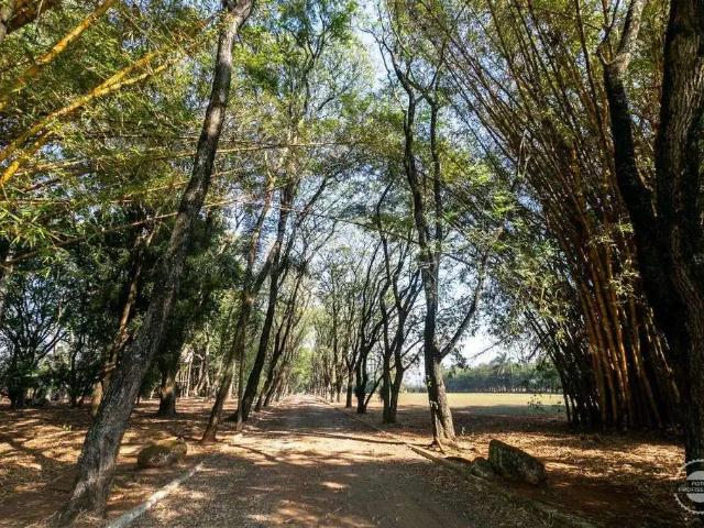 Sítio e chácara venda em Região Imediata de Piracicaba, Região Metropolitana de Piracicaba