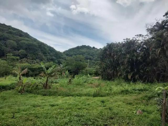 Sítio e chácara venda em Região Geográfica Imediata do Rio de Janeiro, Região Metropolitana do Rio de Janeiro