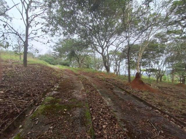 Sítio e chácara venda em Região Geográfica Imediata do Rio de Janeiro, Região Metropolitana do Rio de Janeiro