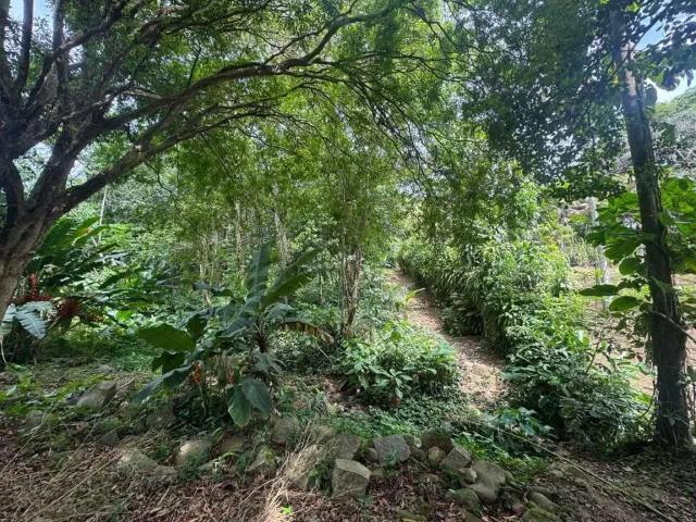 Sítio e chácara venda em Região Geográfica Imediata do Rio de Janeiro, Região Metropolitana do Rio de Janeiro
