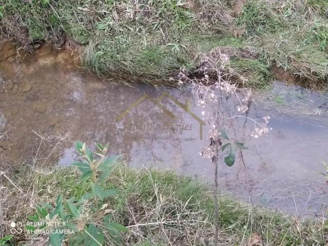 Sítio e chácara venda em Região Geográfica Imediata de Rio do Sul, Rio do Campo