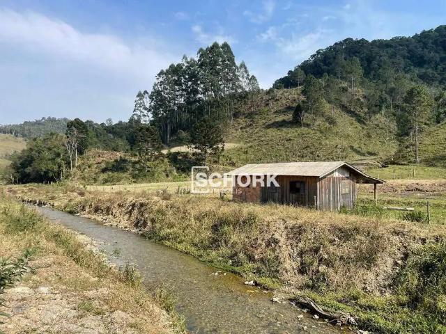 Sítio e chácara venda em Região Geográfica Imediata de Rio do Sul, Rio do Campo
