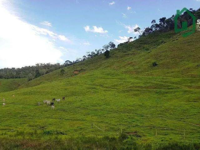 Sítio e chácara venda em Região Geográfica Imediata de Joinville, Joinville