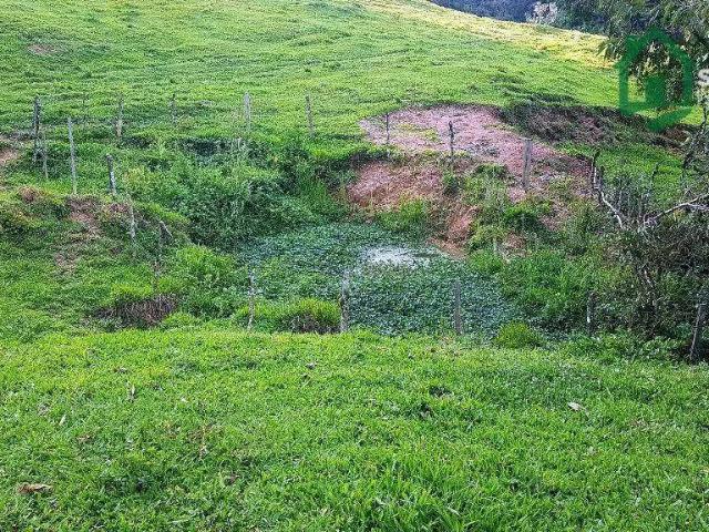 Sítio e chácara venda em Região Geográfica Imediata de Rio do Sul, Rio do Campo